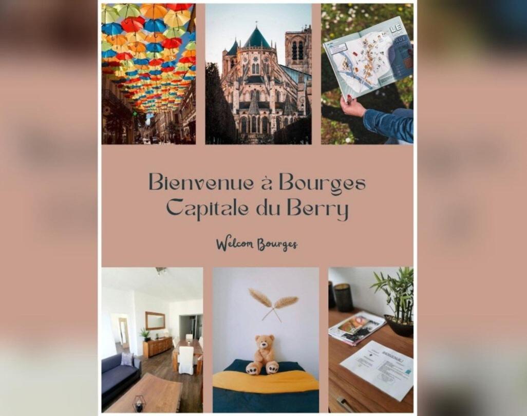 Lumineux & Convivial Appartement Bourges Buitenkant foto